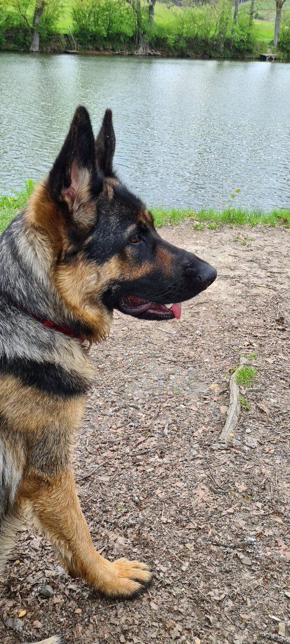 Erlebe die Eröffnung meines neuen Shops! 🎉 Entdecke spannende Angebote und Inspiration!