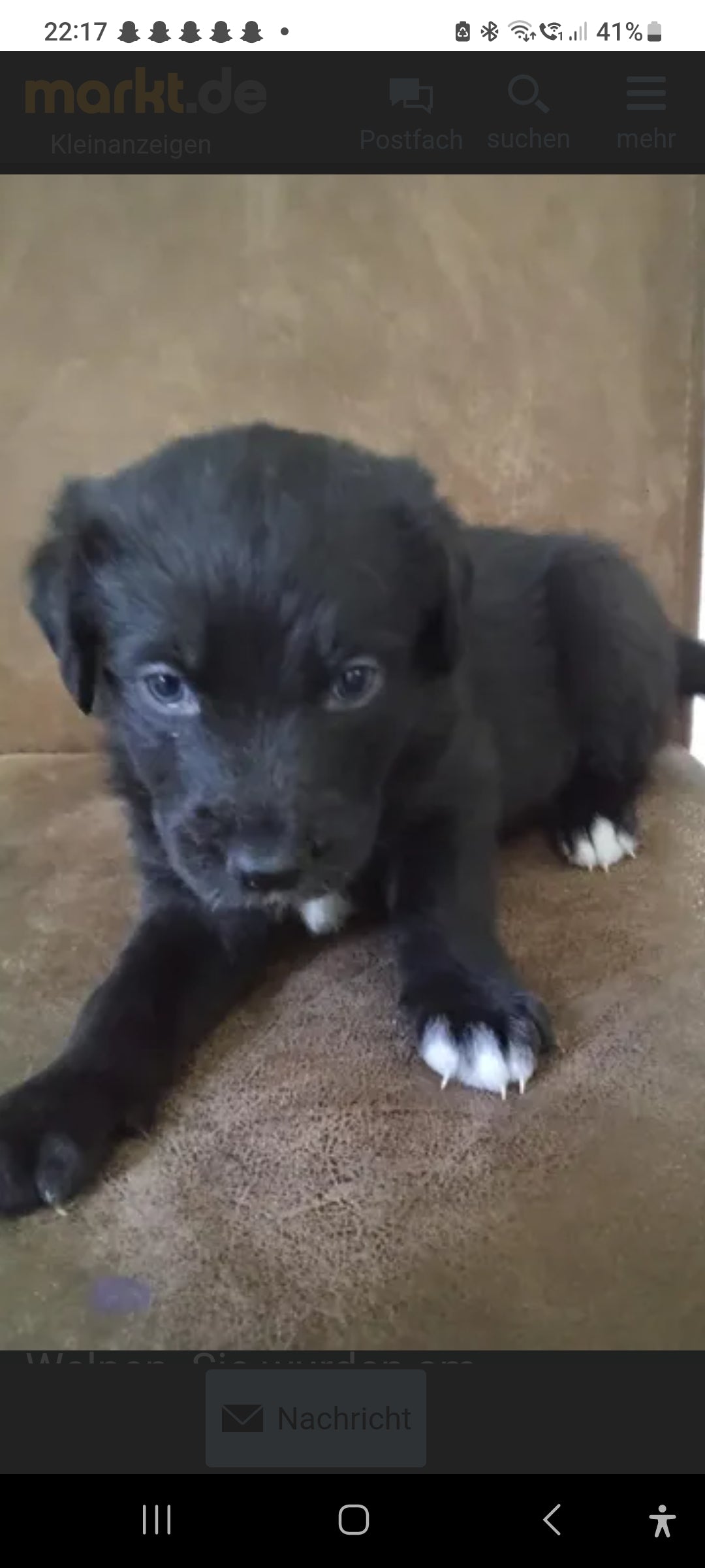 Zuwachs im Team 🎉 – Entdecke unsere neuen Talente!