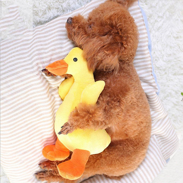 Hunde Spielzeug - Plüsch Tiere - Tierbedarf.si