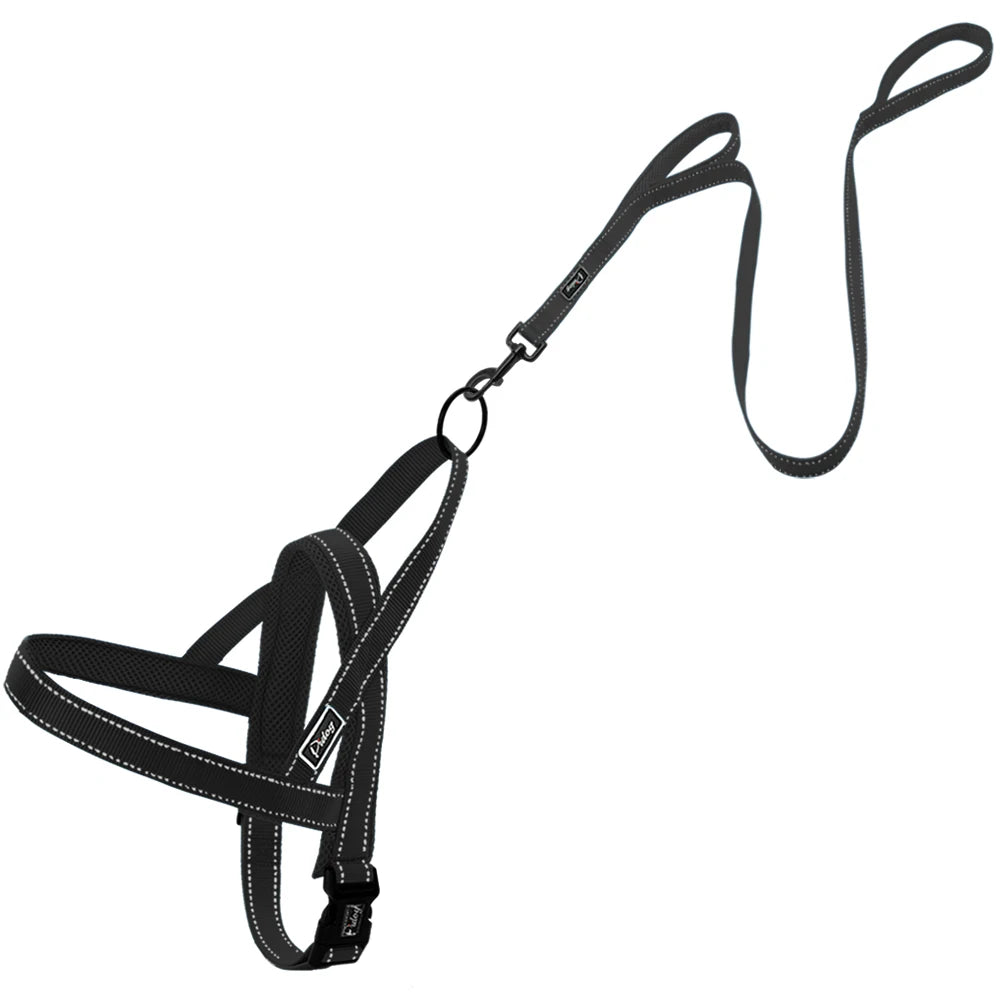 No Pull Reflective Dog Harness Leash Set Pet Vest Lead for Small Meduim Large Dogs Perfect for Daily Training Walking XXS-L