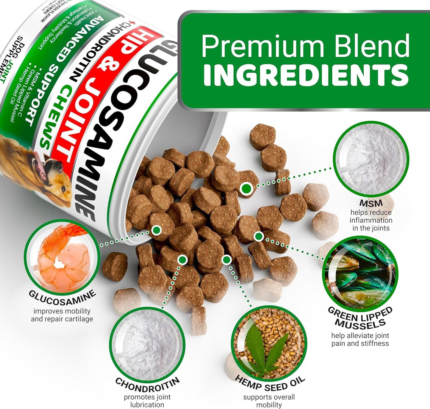 Nahrungsergänzungsmittel für die Hüfte und Gelenke von Haustieren