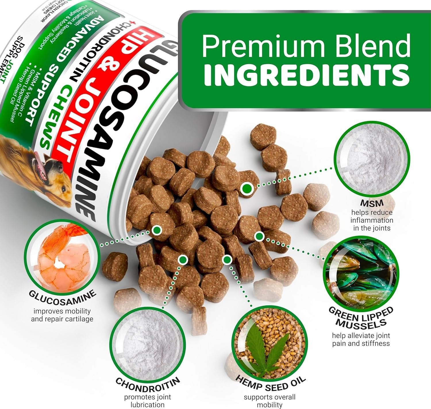 Nahrungsergänzungsmittel für die Hüfte und Gelenke von Haustieren