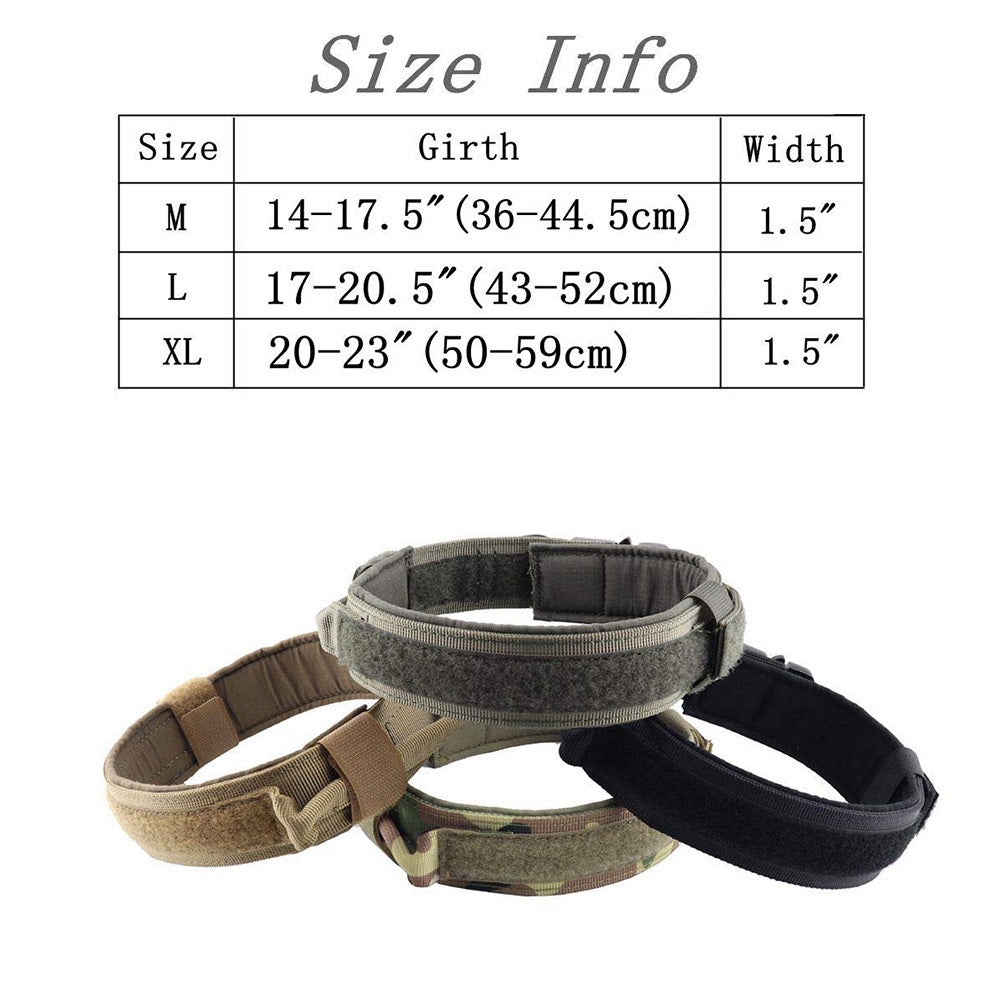 Hunde Halsband der besonderen Klasse für den anspruchsvollen Hund