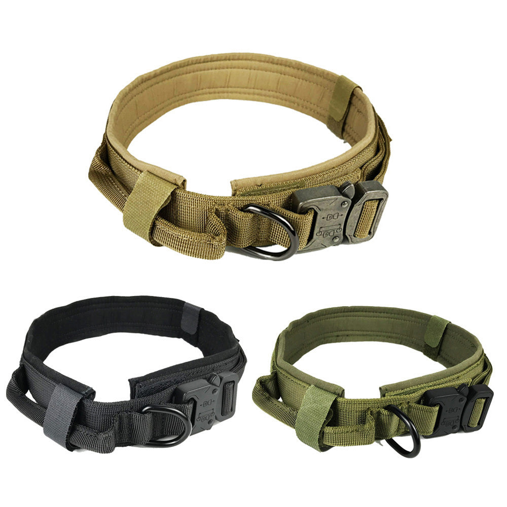 Hunde Halsband der besonderen Klasse für den anspruchsvollen Hund