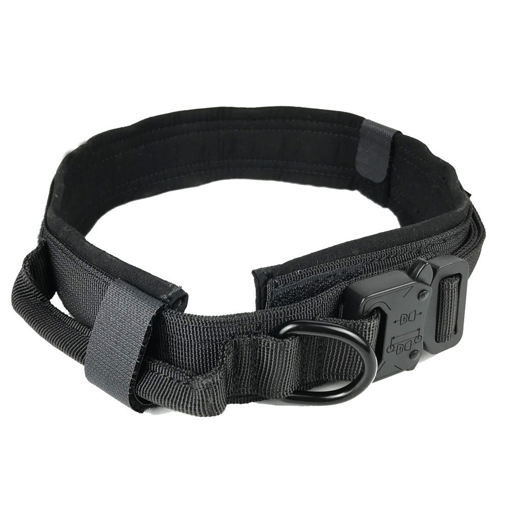 Hunde Halsband der besonderen Klasse für den anspruchsvollen Hund