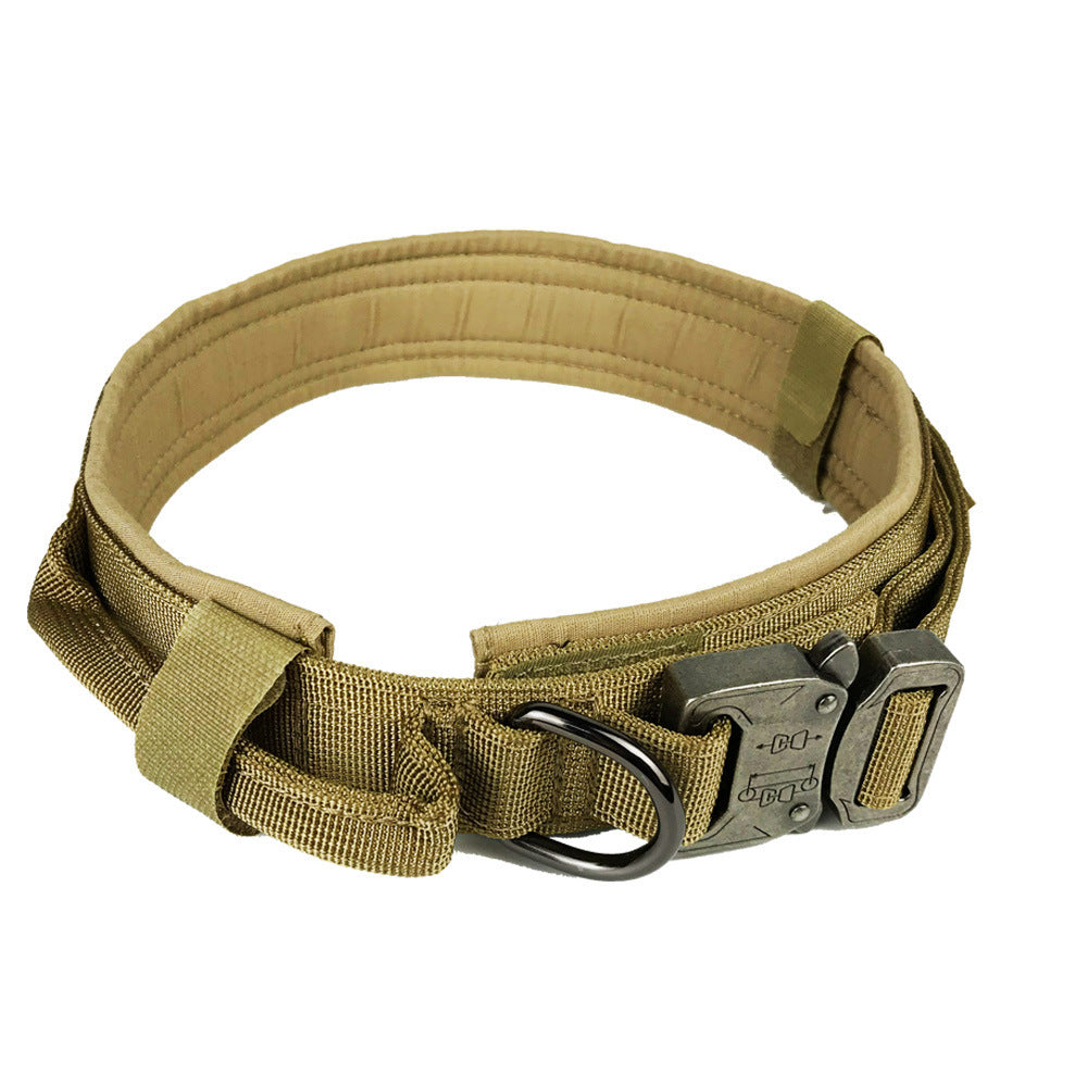 Hunde Halsband der besonderen Klasse für den anspruchsvollen Hund