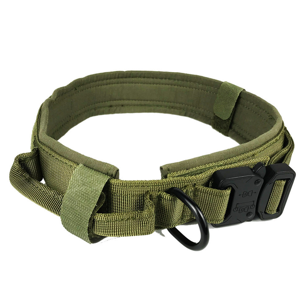 Hunde Halsband der besonderen Klasse für den anspruchsvollen Hund