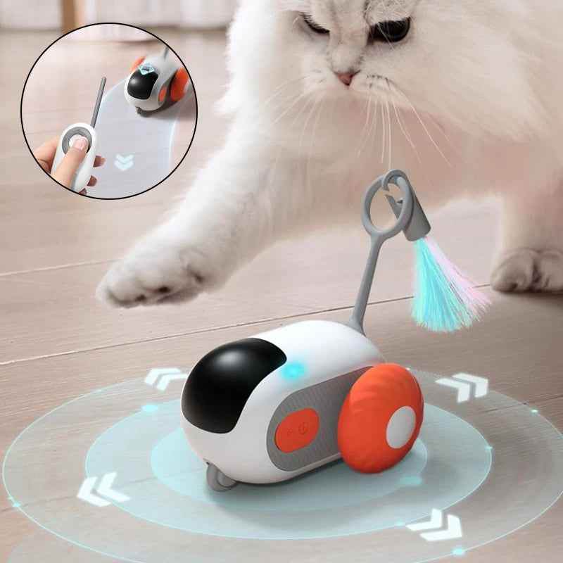 Katzenspielzeug ein Auto mit Fernbedienung - Tierbedarf.si
