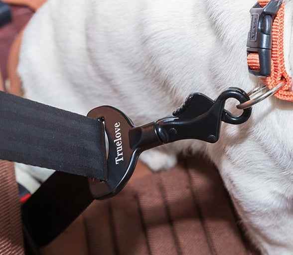 Sicherheitsgurt für Hunde - Tierbedarf.si