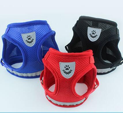 Hundegeschirr- und Leinenset für den trendigen Hund