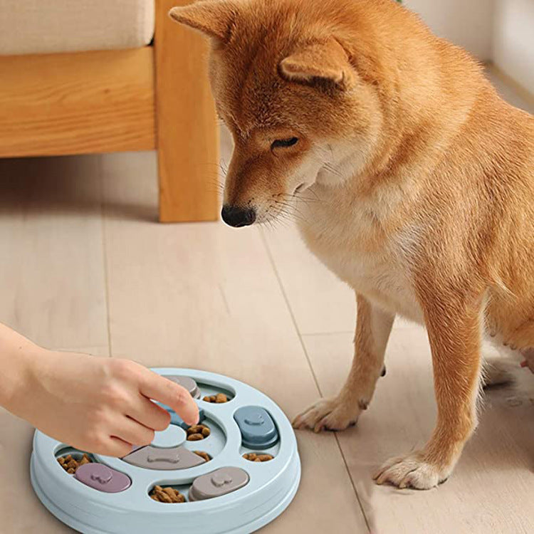 Hunde Puzzle- zur Beschäftigung und Fördrerung der Intelligenz
