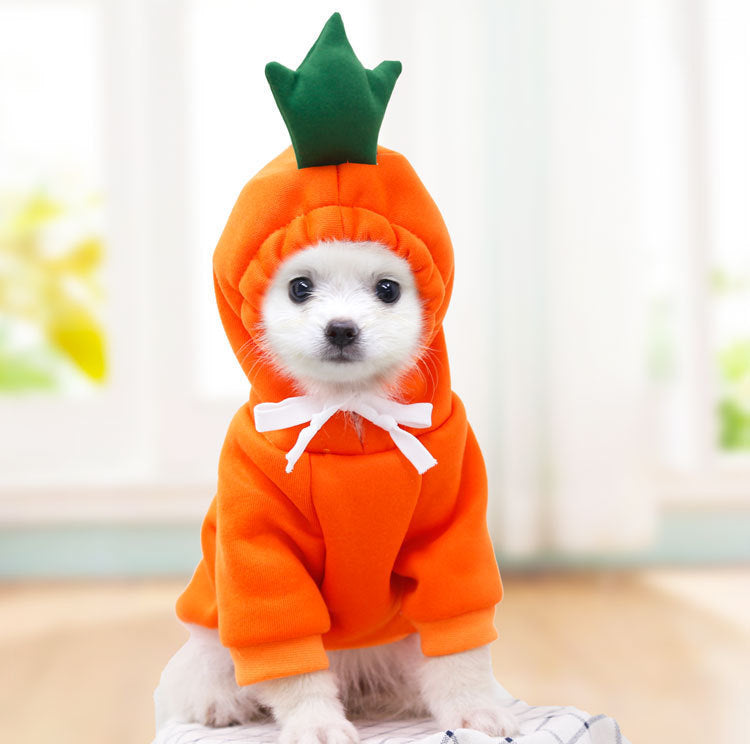Süße Hundekleidung- Mit Früchten in verschiedenen Modellen