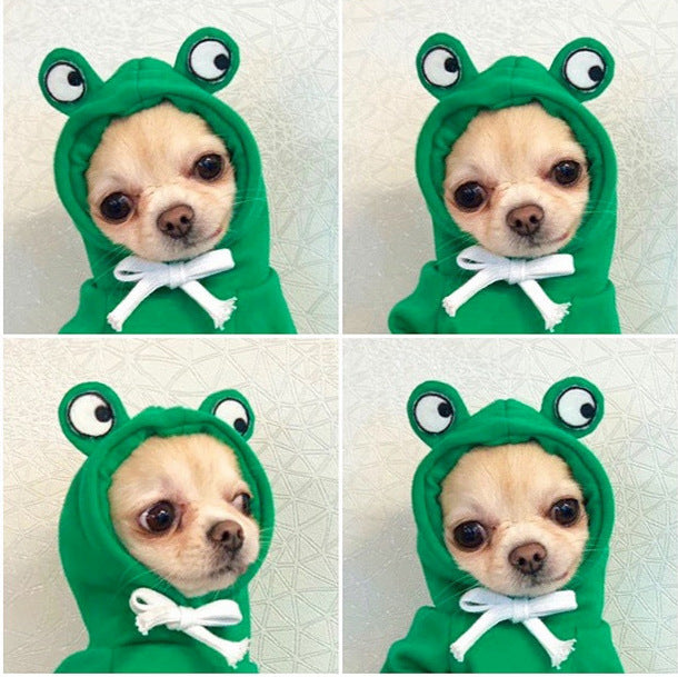 Süße Hundekleidung- Mit Früchten in verschiedenen Modellen