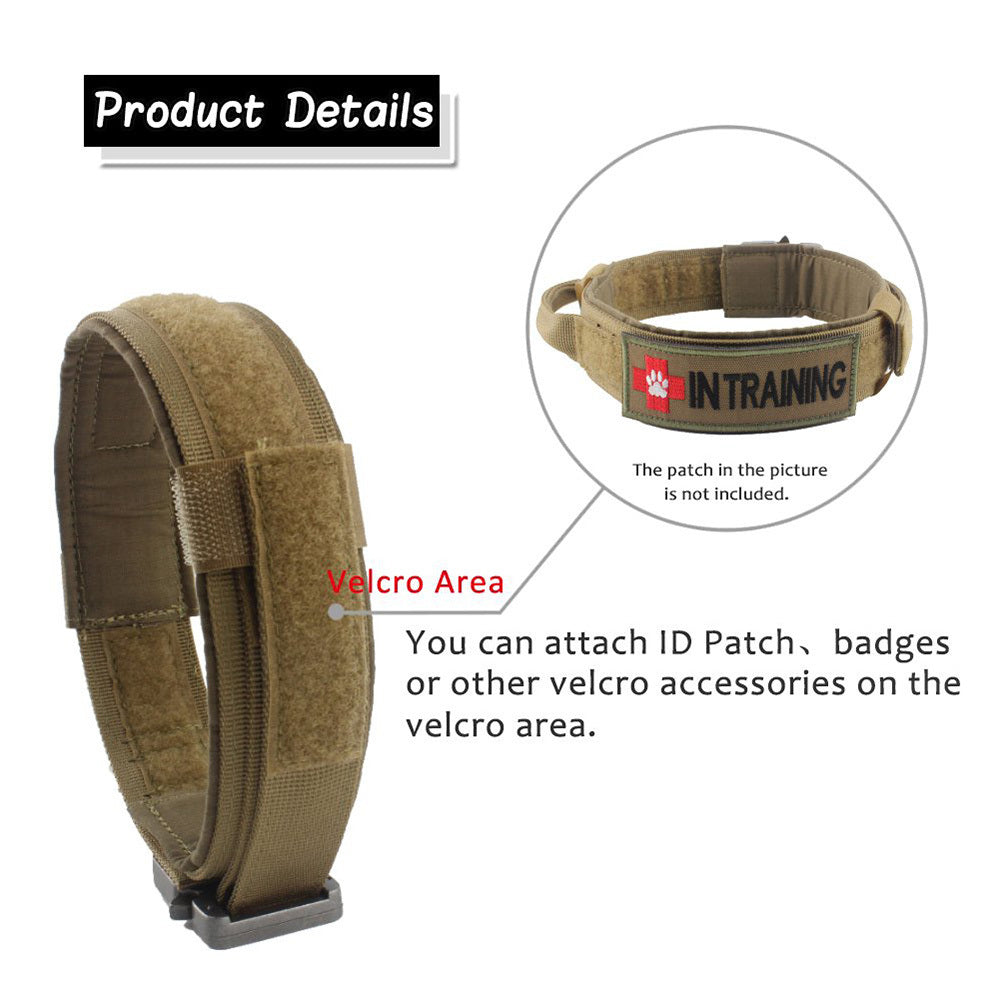 Hunde Halsband der besonderen Klasse für den anspruchsvollen Hund