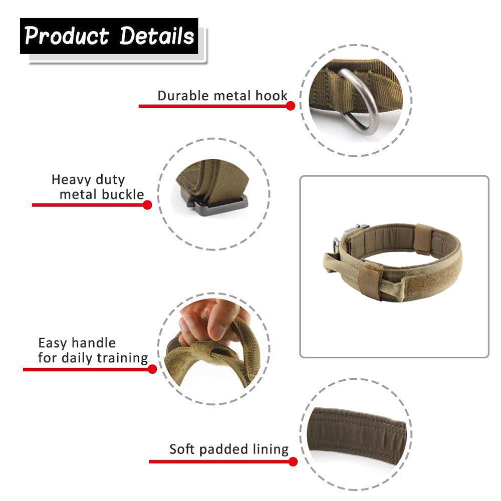 Hunde Halsband der besonderen Klasse für den anspruchsvollen Hund