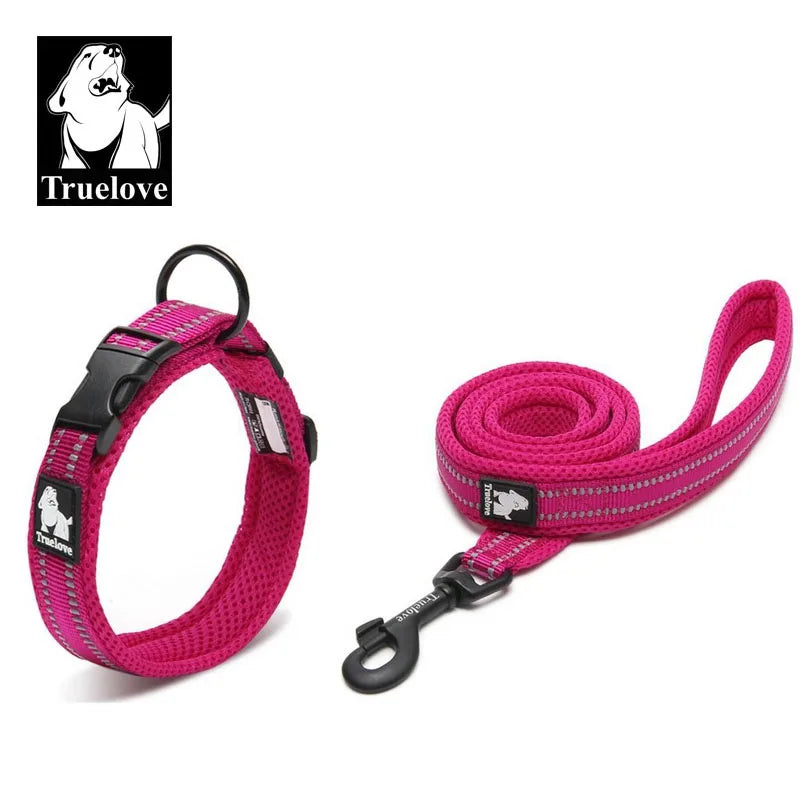 Easy on Pet Dog Collar and Leash Set Nylon Padded Adjustabele Reflective for Small Medium Large Dogs Training Walking