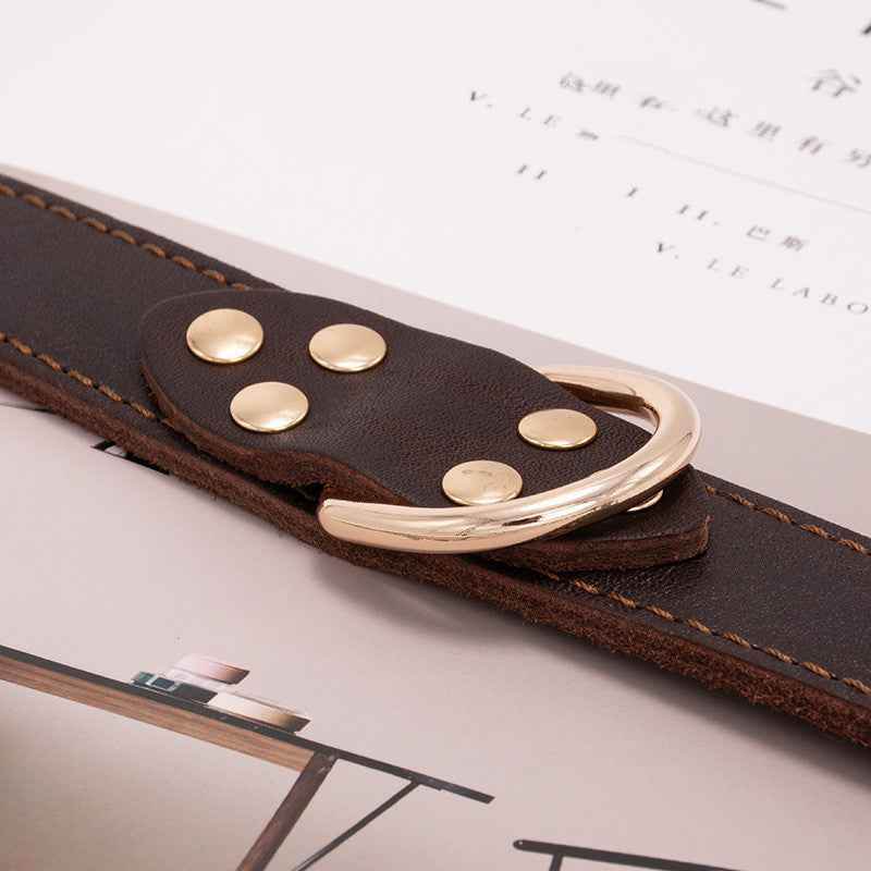 Hundehalsband - Tierbedarf.si