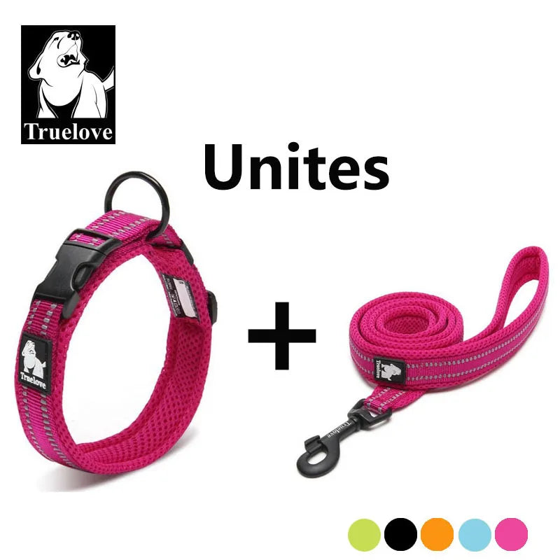 Easy on Pet Dog Collar and Leash Set Nylon Padded Adjustabele Reflective for Small Medium Large Dogs Training Walking