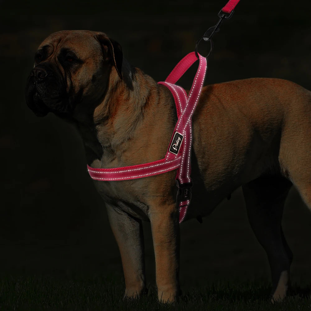 No Pull Reflective Dog Harness Leash Set Pet Vest Lead for Small Meduim Large Dogs Perfect for Daily Training Walking XXS-L