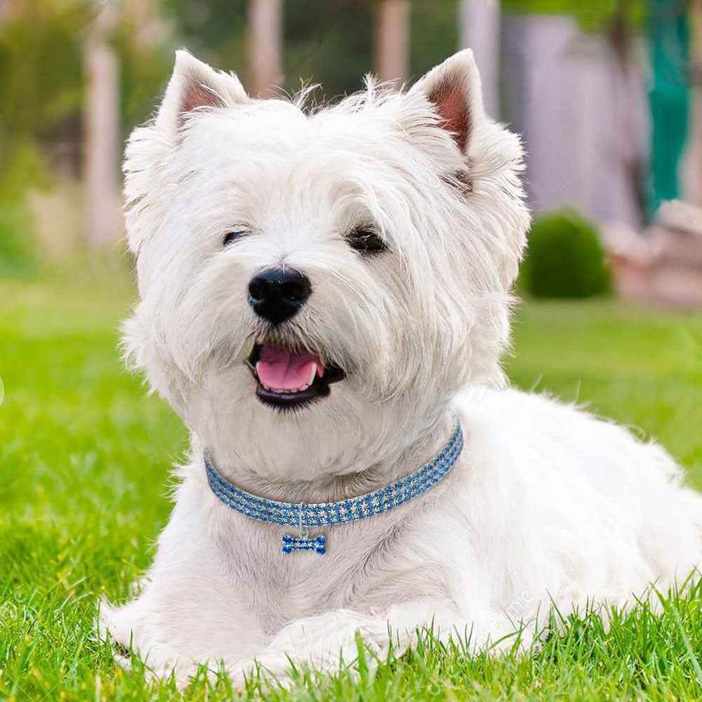 Strass Hundehalsband Kristall für kleine und mittelgroße Hunde - Tierbedarf.si