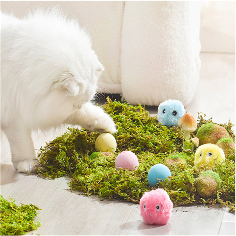 Katzenspielzeug mit Katzenminze und Geräuschen