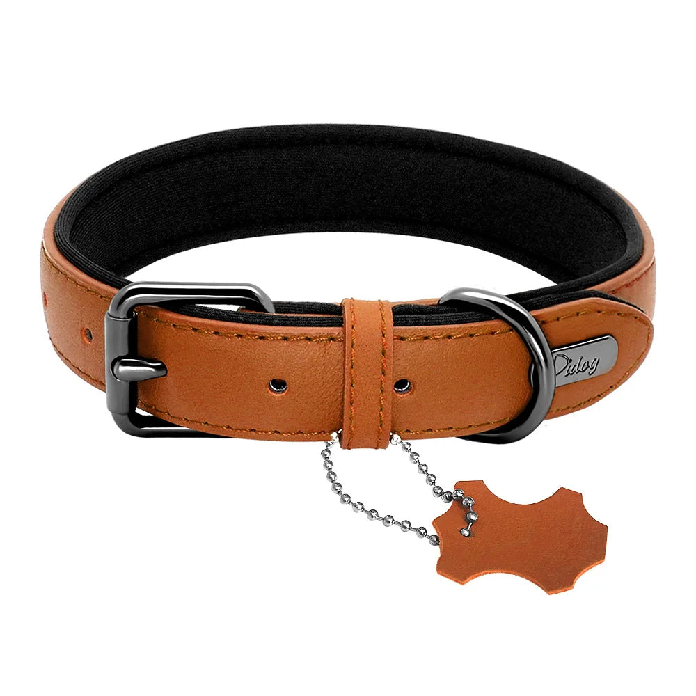 Leather Dog Collar Neoprene Padded Pet Collar Leash Harness for Small Medium Dogs for Bulldog Bull Terrier Pet Shop