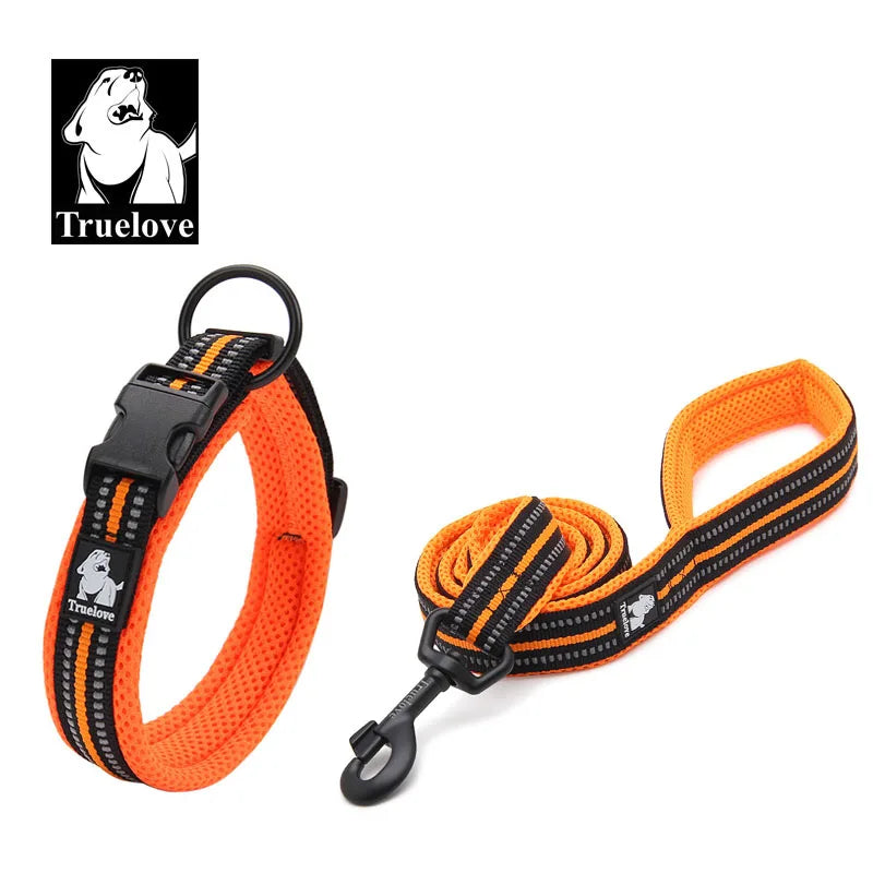 Easy on Pet Dog Collar and Leash Set Nylon Padded Adjustabele Reflective for Small Medium Large Dogs Training Walking