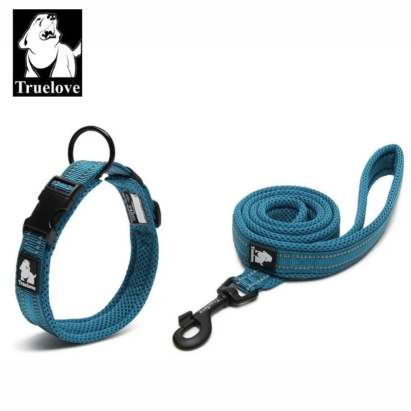 Easy on Pet Dog Collar and Leash Set Nylon Padded Adjustabele Reflective for Small Medium Large Dogs Training Walking