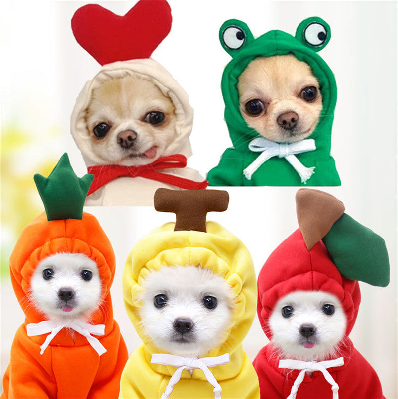 Süße Hundekleidung- Mit Früchten in verschiedenen Modellen