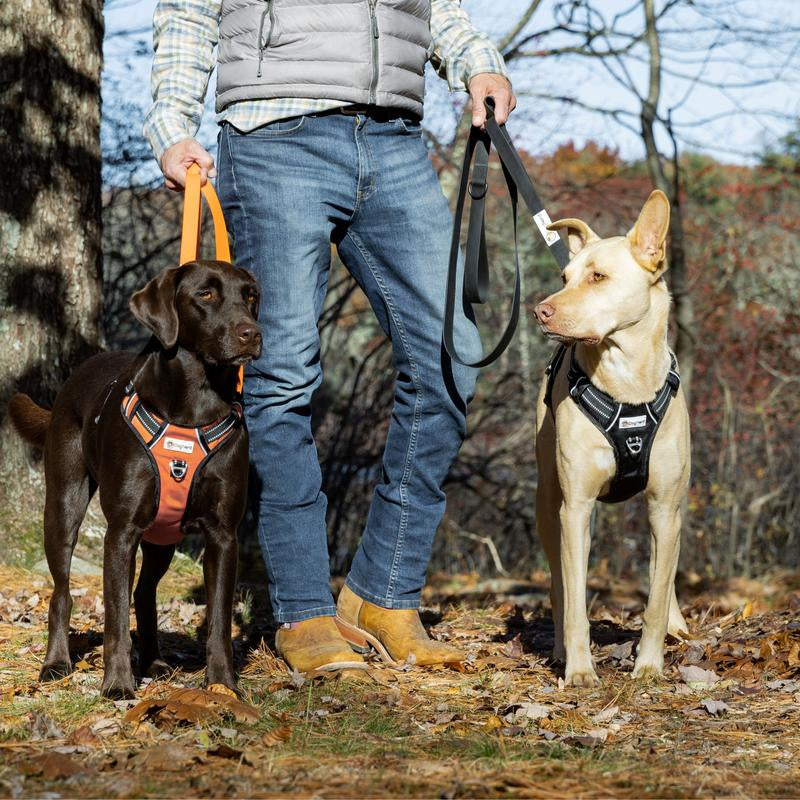 Dognerd 6' Tactical Silicone Dog Leash with Aluminum Quick Release Carabiner Solid Design for Large Dogs Walks Hikes Jogging