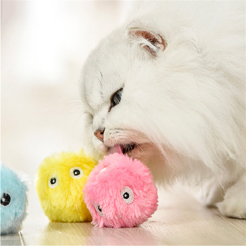 Katzenspielzeug mit Katzenminze und Geräuschen