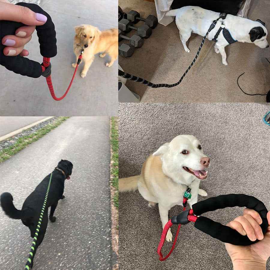 Leuchtende Hundeleine für kleine und mittelgroße Hundewelpen - Tierbedarf.si