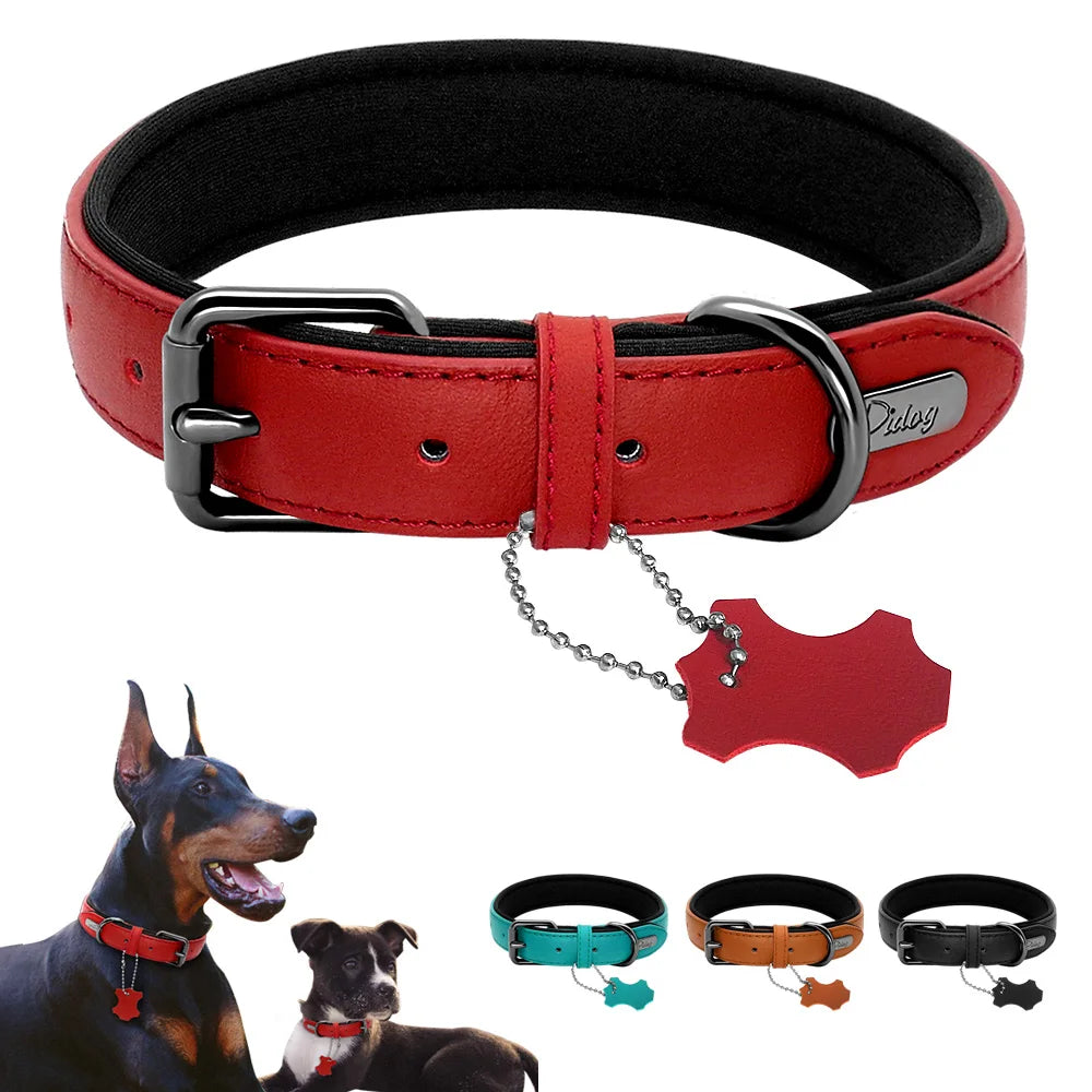 Leather Dog Collar Neoprene Padded Pet Collar Leash Harness for Small Medium Dogs for Bulldog Bull Terrier Pet Shop