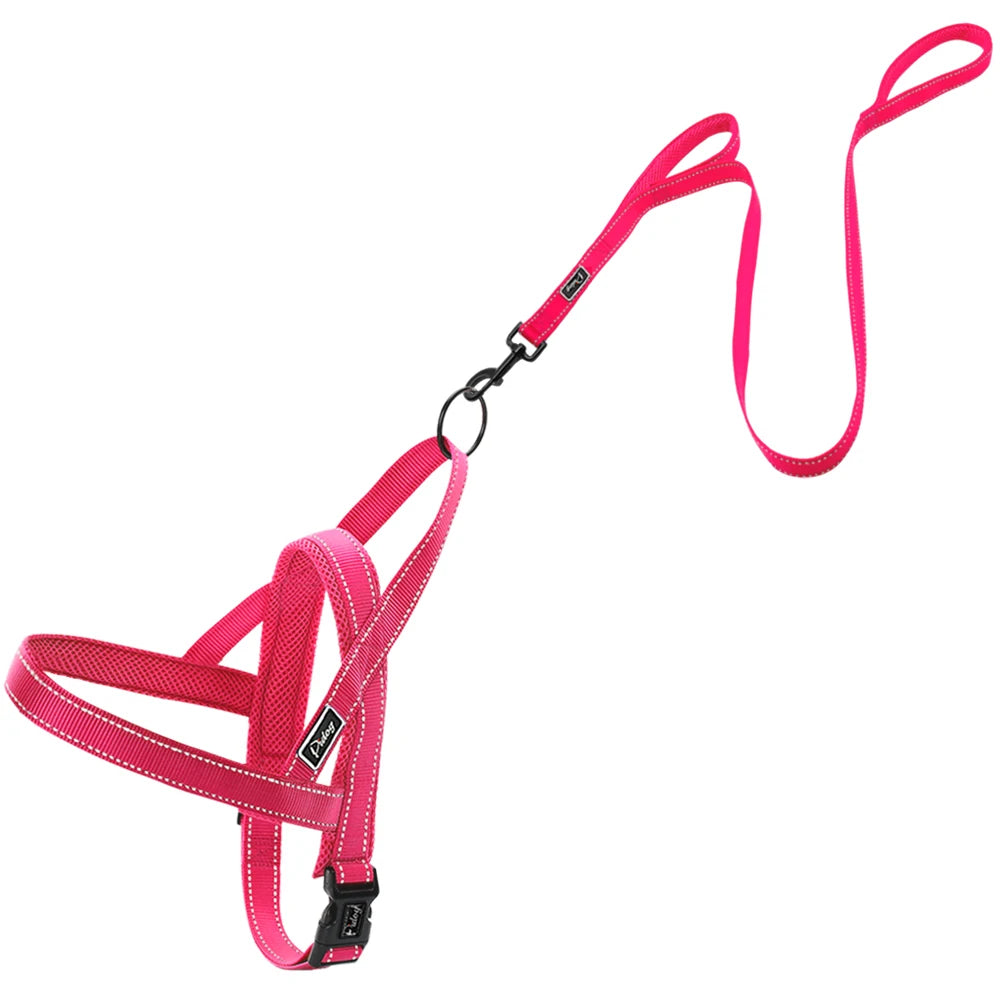 No Pull Reflective Dog Harness Leash Set Pet Vest Lead for Small Meduim Large Dogs Perfect for Daily Training Walking XXS-L