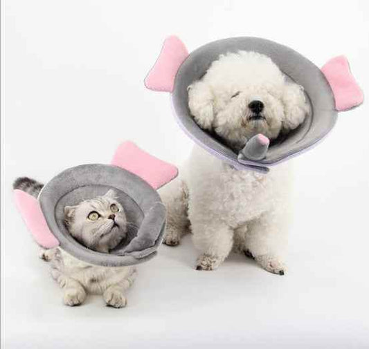 Schutzkragen für Hunde und Katzen- nach der OP - Tierbedarf.si