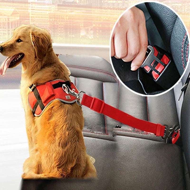 Verstellbarer Sicherheitsgurt für Hunde im Auto
