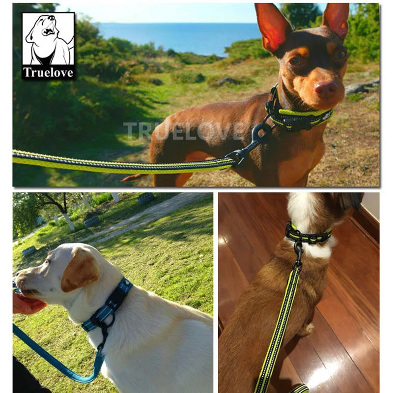 Easy on Pet Dog Collar and Leash Set Nylon Padded Adjustabele Reflective for Small Medium Large Dogs Training Walking