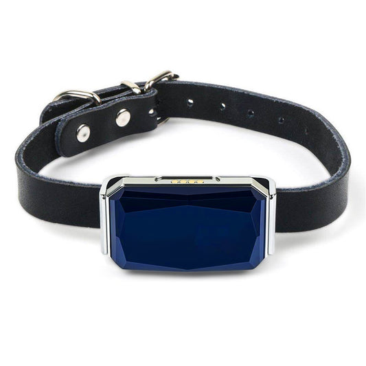  GPS Tracker- mit SOS Funktion 