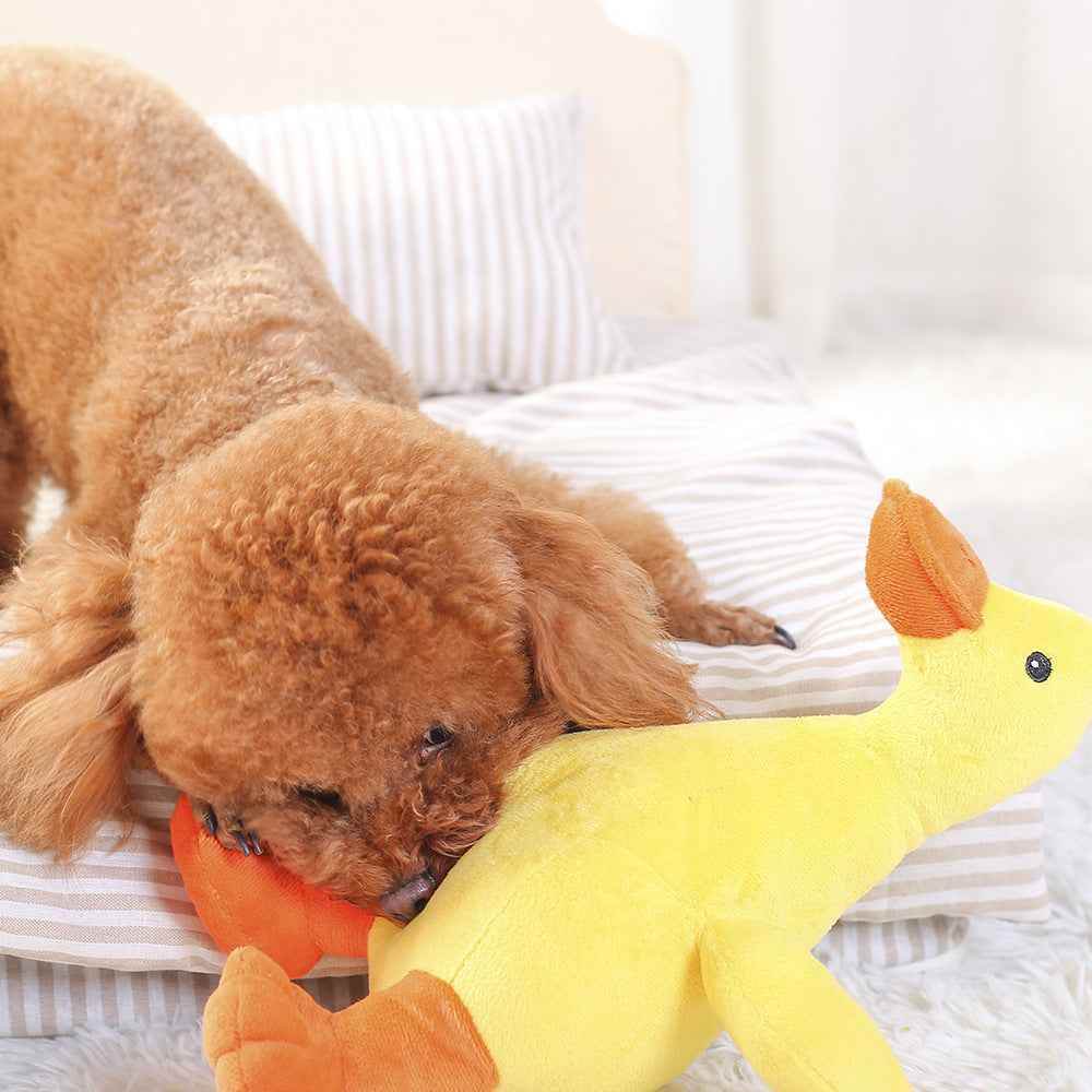 Hundespielzeug aus Plüsch mit Stimme - Tierbedarf.si