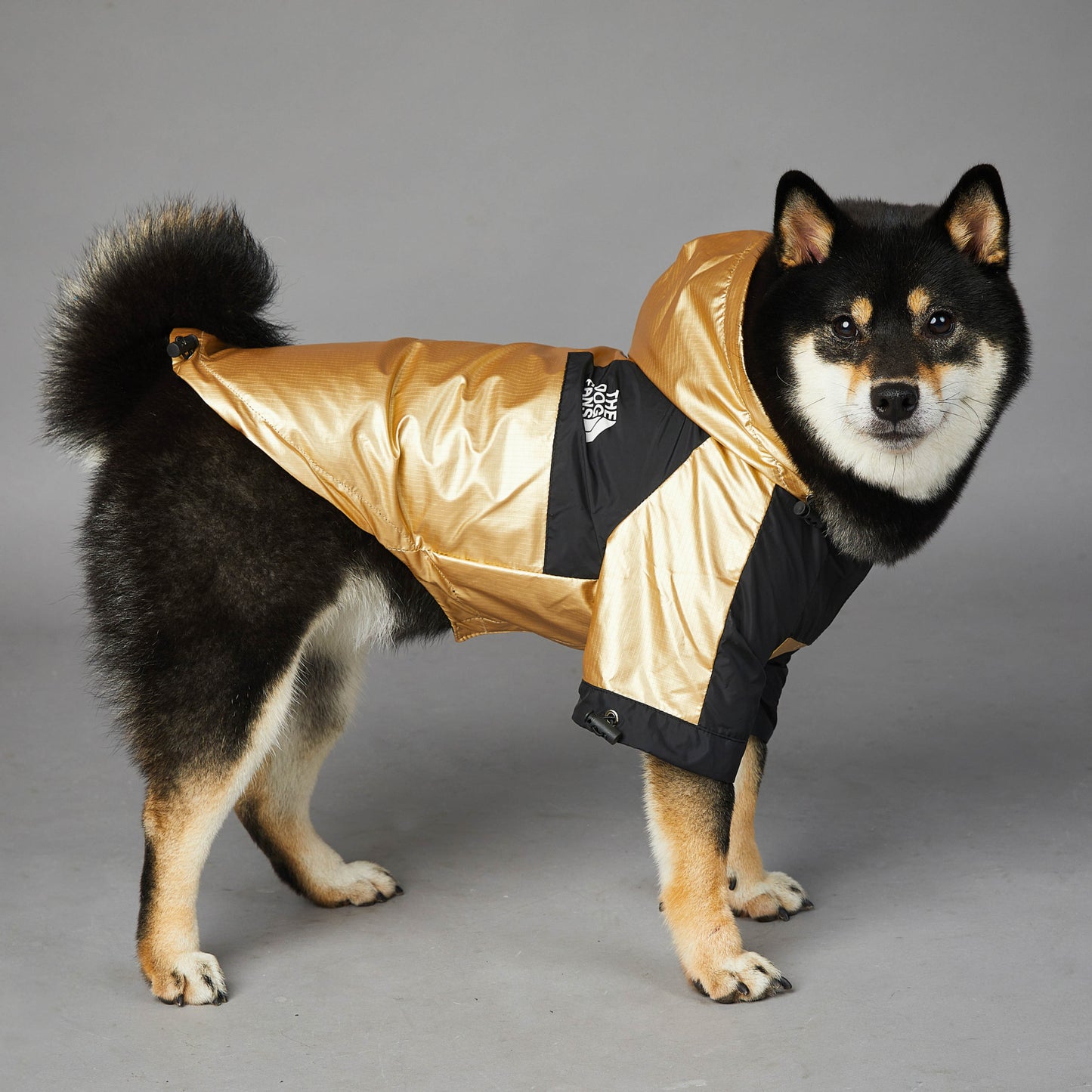 Regenmantel für große Hunde
