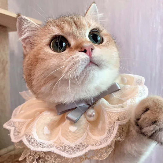 Speicheltuch für Katzen - Lätzchen
