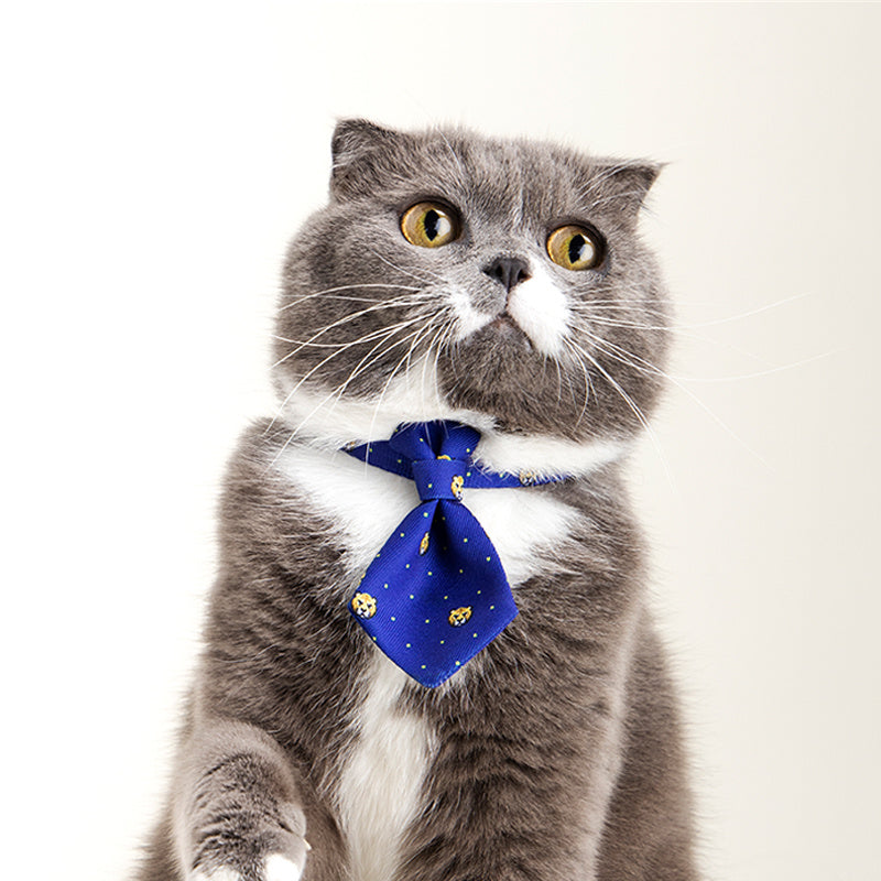 Hunde Halsband Gentleman - einstellbare Krawatte