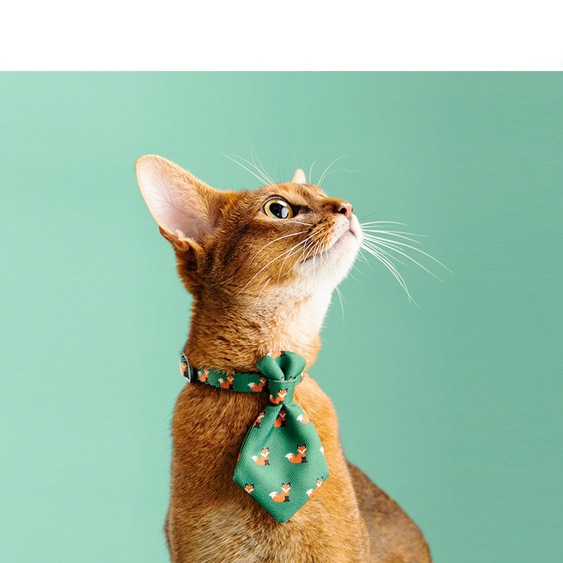 Hunde Halsband Gentleman - einstellbare Krawatte