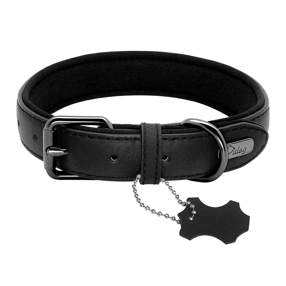 Leather Dog Collar Neoprene Padded Pet Collar Leash Harness for Small Medium Dogs for Bulldog Bull Terrier Pet Shop